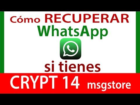 Abre tus archivos MSGSTORE de WhatsApp fácilmente Abre tus archivos MSGSTORE de WhatsApp fácilmente